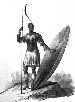 Saka Zuluról készült egyetlen ismert kép — kezében assegait és pajzsot tartva. A kép 1824-ben, négy évvel halála előtt készült