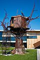 «Steampunk Tree House» в Dogfish Head Craft Brewery