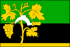 Bandeira de Oslavany