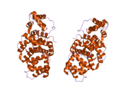 1w45: THE 2.5 ANGSTROEM STRUCTURE OF THE K16A MUTANT OF ANNEXIN A8, WHICH HAS AN INTACT N-TERMINUS.