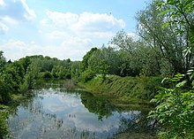 A large pond with abundant vegetation and trees surrounding it