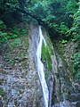 Dagomys forest waterfall