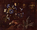 Morning glory, toad, and insects, Otto Marseus van Schrieck, 1660