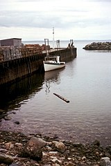 カナダのファンディ湾 （Bay of Fundy）。満潮時。