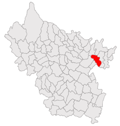 Location in Buzău County