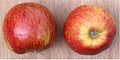 Two apples: the 1st and 2nd apple, thus 'apple 0' and 'apple 1'