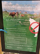 Schild mit Argumenten gegen den Wolf in der alpinen Kulturlandschaft