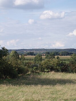 Zicht over de Mookerheide richting Maasdal