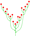Bunga lembing (anthela)