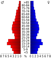 Bevolkingspiramide Allegany County