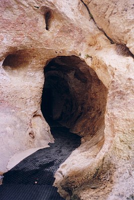 Вход в пещеру Фон-де-Гом