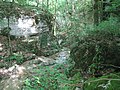 Les gorges de la Vingeanne.