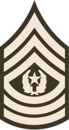 E-9 Command Sergeant Major (CSM)