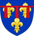 Armoiries comme fils de France (1559-1573).
