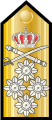 Επωμίδα του ναυάρχου στο ελληνικό Βασιλικό Ναυτικό (1959-1973)