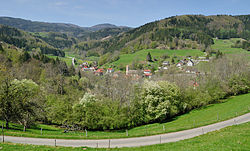 Skyline of Tegernau