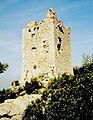 Grosseto civarında "Maremma Doga Parki" - "Castel Marino" kulesi