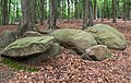 Großsteingrab in Vehrte: Teufels Teigtrog