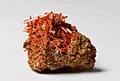 Image 27Crocoite, by JJ Harrison (from Wikipedia:Featured pictures/Sciences/Geology)