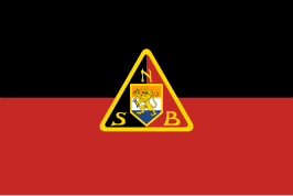 Vlag van de Nationaal-Socialistische Beweging.