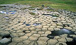 Formation av basalt i Kirkjugólf i närheten av Kirkjubæjarklaustur