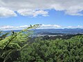 Pogled na Wellington iz utočišta za divlje životinje Karori, poznatog i kao Zealandia