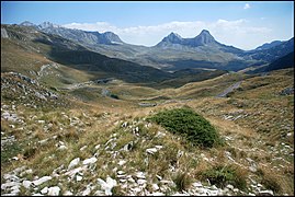 prirodne ljepote planine Durmitor