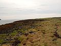 Bogland on Lampay