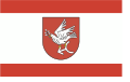Flag of Golubsko-dobrzyński County
