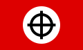 Bandiera neonazista con croce celtica