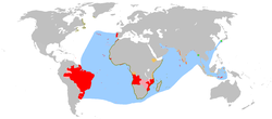 Карта на Португалската империя. В червено – колонии; в розово – отвъдморски територии обект на проучване; в оранжево – региони на търговско влияние; в зелено – търговски пунктове; в светло синьо – проучван морски ареал и територия за осъществяване на транспорт и комуникации между метрополията и колониите