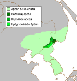 Az amur leopárd elterjedési területe. A térkép szövegei fentről lefelé: valamikori terület, jelenlegi terület, feltételezett terület és valószínű terület