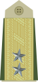 Exèrcit Norueg Generalmajor