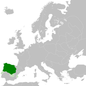 1095년의 레온 왕국(초록색).