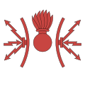 Simbolo della categoria di Specialista del sistema di combattimento (SSC)