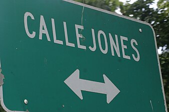Sign for Callejones