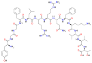 Chemical structure of dynorphin B.