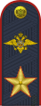 Генерал полиции Российской Федерации