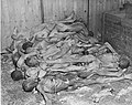 The bodies of prisoners lie stacked in a shed.