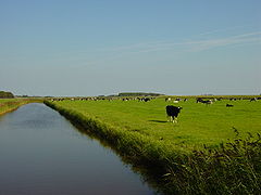 Landskap på Texel