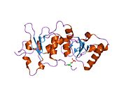 1t15: ساختمان کریستالی دومِـین‌های Brca1 BRCT در ترکیب با ناحیهٔ فسفریله‌شده واکنش‌دهنده، در هلیکاز Bach1