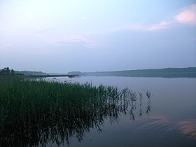 Вид на озеро с белорусского берега