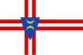 Drapeau d'Idaarderadeel