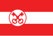 Vlag van de gemeente Leiden