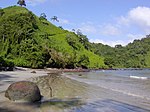 Hilly coast with grassland, forest and a sandy beach.