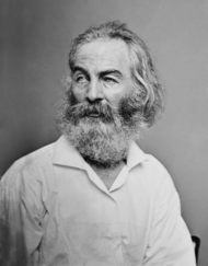 A portrait of Walt Whitman taken circa 1860