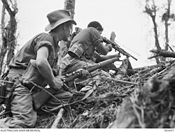 צוות מקלע קל בוייווק, יוני 1945