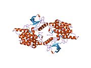 1p4o​: Struktura neaktiviranog IGF-1R kinaznog domena