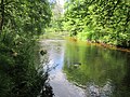 L'Isole riveraine de Mellac entre le Moulin Blanc et Pontec Amour.