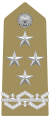 General of the Italian Army – shoulder board